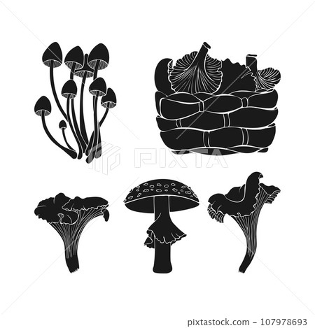 Set mushrooms silhouette. Monochrome dark icons. Black mushrooms on white background. 107978693
