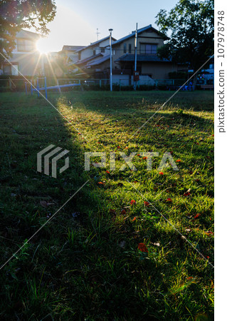 In the city at sunrise. The greenery of the park and the red leaves of the Nankin goby shine like streaks in the morning sun. In a park in Nara city ① 107978748