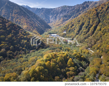 Spectacular autumn leaves of Ogisawa, Omachi City, Nagano Prefecture (aerial photography by drone) 107979370