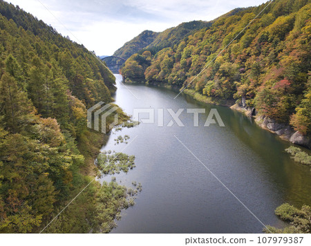 Beautiful autumn leaves in Okususobana Valley, Nagano City, Nagano Prefecture (aerial shot by drone) 107979387