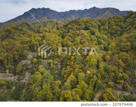 Beautiful autumn leaves of Togakushi Nishidake Mountain Range and Okususobana Valley, Nagano City, Nagano Prefecture (aerial photography by drone) Beautiful autumn leaves of Togakushi Nishidake Mountain Range and Okususobana Valley, Nagano City, Nagano Prefecture (aerial photography by drone) 107979406