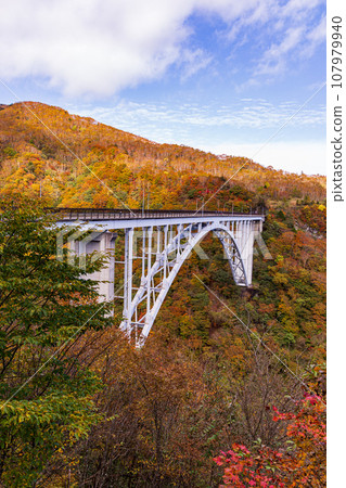 "Tochigi Prefecture" Nikko/Kirifuri Plateau, Rokupozawa Bridge and autumn leaves 107979940