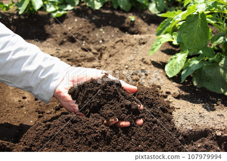 Soil field 107979994