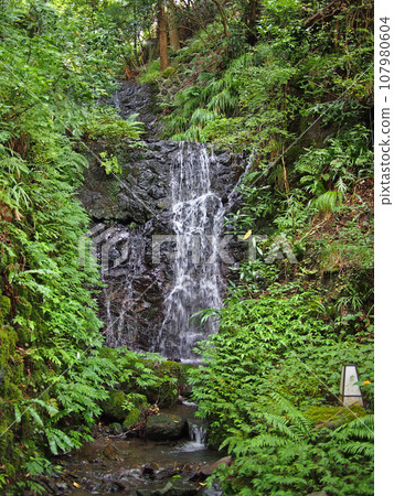 Kifune Shrine small waterfall 107980604