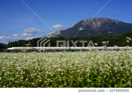 東海道新幹線 N700A 在蕎麥花盛開的伊吹山腳下行駛(東海道新幹線米原~岐阜羽島,2023 年 10 月) 東海道新幹線 N700A 在蕎麥花盛開的伊吹山腳下行駛(東海道新幹線米原~岐阜羽島,2023 年 10 月) 107980898