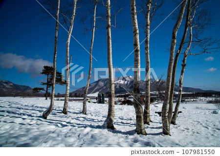 斯諾伊山高原多雪的風景 斯諾伊山高原多雪的風景 107981550