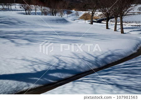 斯諾伊山高原多雪的風景 107981563