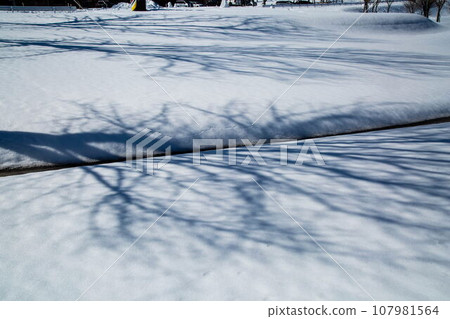 斯諾伊山高原多雪的風景 107981564