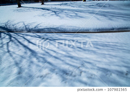 斯諾伊山高原多雪的風景 107981565