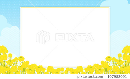 盛開的油菜花和藍天相框/背景素材（風景16:9） 107982091