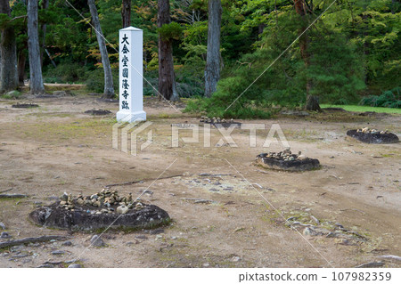 岩手縣 / 近藤圓龍寺疊石 毛越寺遺址 [世界遺產] 平泉町 107982359
