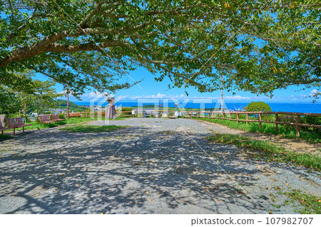 透過千葉縣立山市立山城山公園的樹林,向西側的展望台眺望 透過千葉縣立山市立山城山公園的樹林,向西側的展望台眺望 107982707