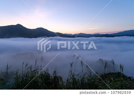 Morning glow of dawn 107982839