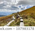 wooden path and hiker 107983178