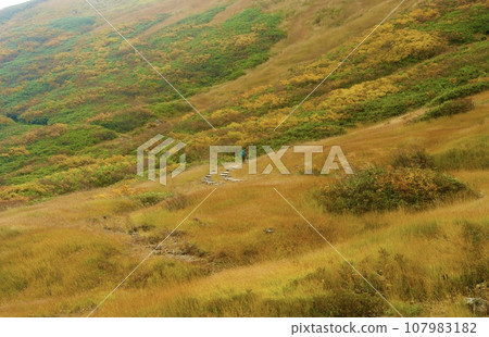 草秋葉和徒步旅行者 107983182