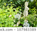 Rabbits and flowers 107983389