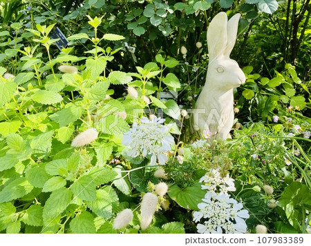 兔子和鮮花 兔子和鮮花 107983389