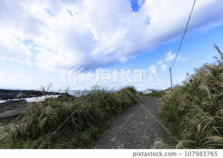 Sea and sky seen from Jogashima on the Miura Peninsula 107983765