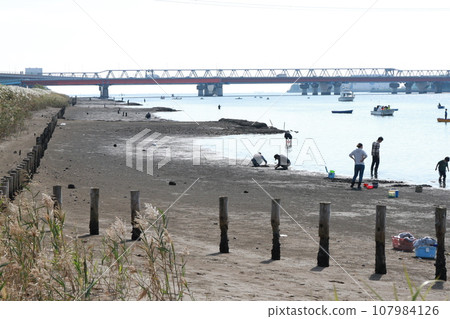 People playing on the tidal flats that appear at low tide (Edogawa) People playing on the tidal flats that appear at low tide (Edogawa) 107984126