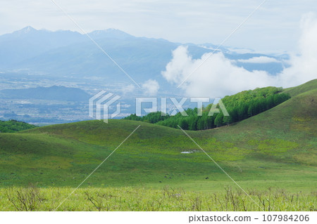 霧峰火災發生一個月後,綠色又恢復了。 霧峰火災發生一個月後,綠色又恢復了。 107984206