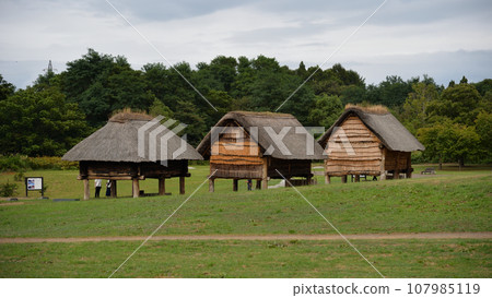 Sannai Maruyama Ruins, Stilt Building 107985119