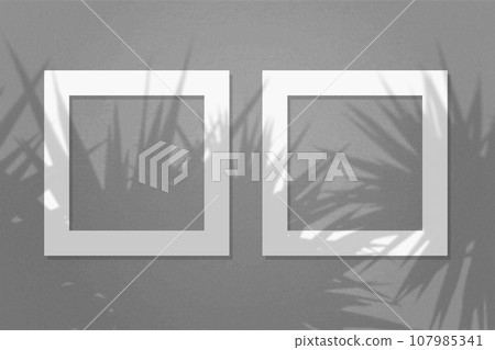 Natural light casts shadows from the leaves of a palm tree on 2 square frames of white textured paper lying on a grey facture background. Mock up with an overlay of plant shadows Natural light casts shadows from the leaves of a palm tree on 2 square frames of white textured paper lying on a grey facture background. Mock up with an overlay of plant shadows 107985341