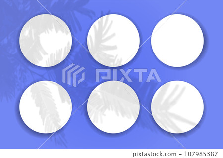 Natural light casts shadows from the tui branch on 6 round sheets of white paper lying on a blue textured background. Mockup Natural light casts shadows from the tui branch on 6 round sheets of white paper lying on a blue textured background. Mockup 107985387