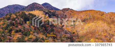 「栃木縣」從日光六方澤橋看到的霧降高原的紅葉 107985743