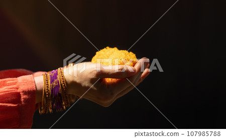 Hindu Ceremonies, Rituals, Spirituality, Religion and Hope Concept. Woman Holdings Marigold Flowers , Respect and Surrender. Garlands are offered to Honor Gods and Goddesses. Symbol of Humility, Hindu Ceremonies, Rituals, Spirituality, Religion and Hope Concept. Woman Holdings Marigold Flowers , Respect and Surrender. Garlands are offered to Honor Gods and Goddesses. Symbol of Humility, 107985788