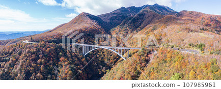 "Tochigi Prefecture" Aerial photography of Kirifuri Plateau and Ropposawa Bridge in autumn in Nikko with a drone 107985961