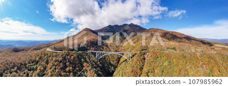 "Tochigi Prefecture" Aerial photography of Kirifuri Plateau and Ropposawa Bridge in autumn in Nikko with a drone 107985962