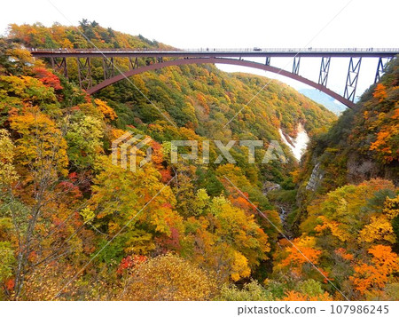 萬代東天際線「津巴魯山谷」的紅葉 107986245
