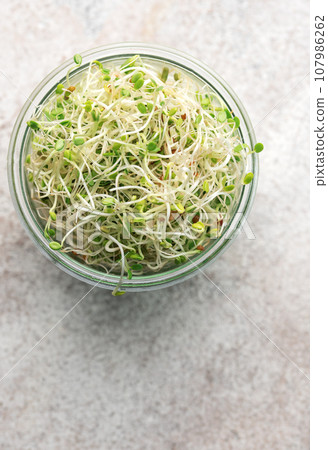 Microgreens grown in a jar. 107986262