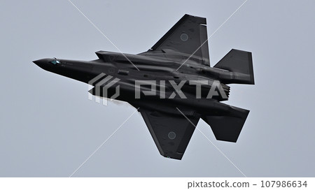 Mitsubishi F-35A Lightning II, Japan Air Self-Defense Force 107986634