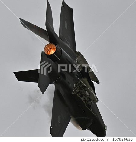 Mitsubishi F-35A Lightning II, Japan Air Self-Defense Force 107986636