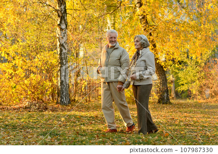 Elderly couple dance in the park in autumn. 107987330