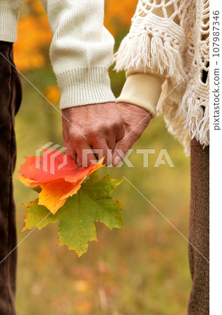 Couple holding hands together on background of park  107987346
