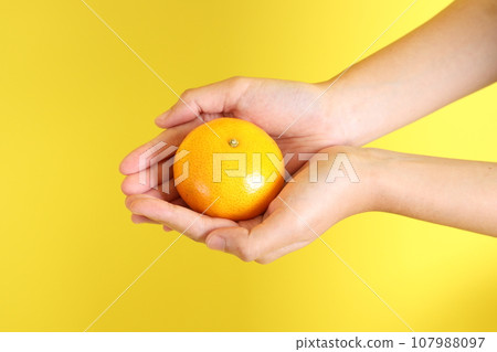 Hand with Fruit 107988097
