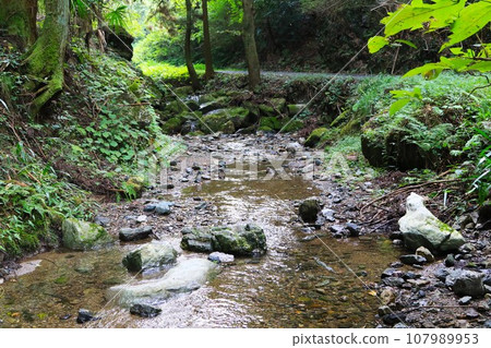 Mountain stream scenery downstream of Shishigataki Falls in Yuzu no Sato Moroyama Town Mountain stream scenery downstream of Shishigataki Falls in Yuzu no Sato Moroyama Town 107989953