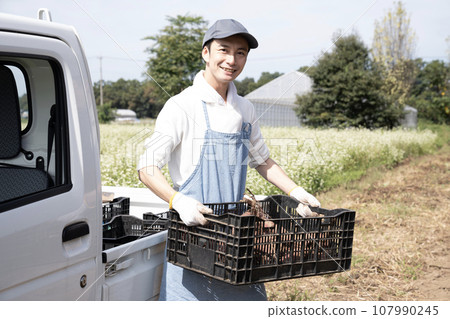 農民將地瓜裝上輕型卡車 107990245