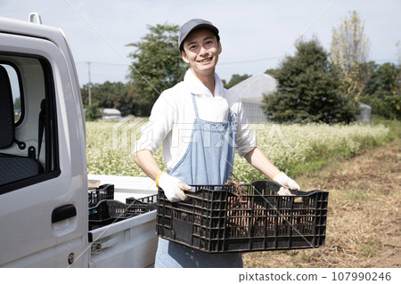 農民將地瓜裝上輕型卡車 107990246