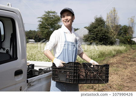 有輕型卡車和地瓜的農民 107990426
