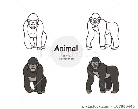 Gorilla illustration set Gorilla illustration set 107990446