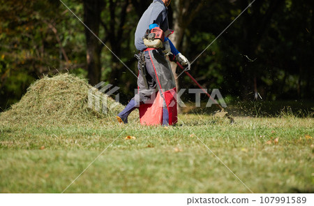 A worker mowing grass in an autumn park A worker mowing grass in an autumn park 107991589
