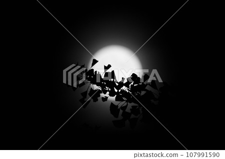 A black and white photo of the silhouette of a ginkgo branch reflected in the harvest moon 107991590