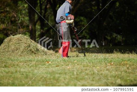 A worker mowing grass in an autumn park A worker mowing grass in an autumn park 107991591