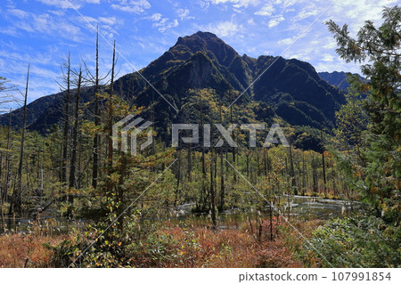 秋天的上高地,竹澤沼澤 秋天的上高地,竹澤沼澤 107991854
