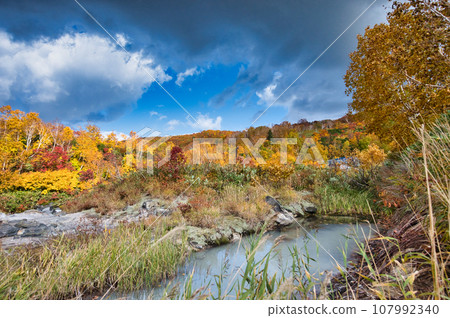 Hakkoda Mountains - Scenery of the riverbed of Sainokawa Hakkoda Mountains - Scenery of the riverbed of Sainokawa 107992340