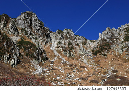Autumn Central Alps Senjojiki Curl Autumn Central Alps Senjojiki Curl 107992865