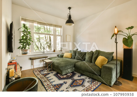 a living room with a green couch and some plants on the wall behind it in front of a large window a living room with a green couch and some plants on the wall behind it in front of a large window 107993938